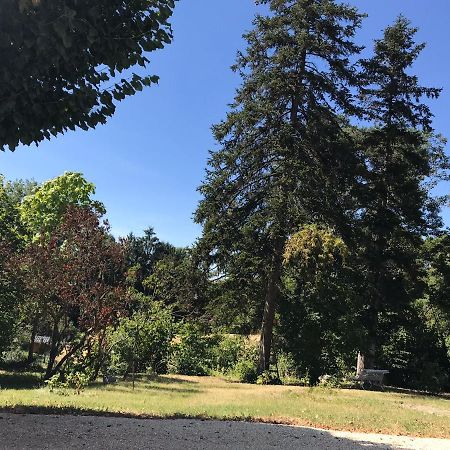 Charmant F1 Avec Terrasse Et Vue Sur Jardin Arbore - Fraicheur Naturelle Du Rez De Jardin - Parking Бельрив-сюр-Алье Экстерьер фото