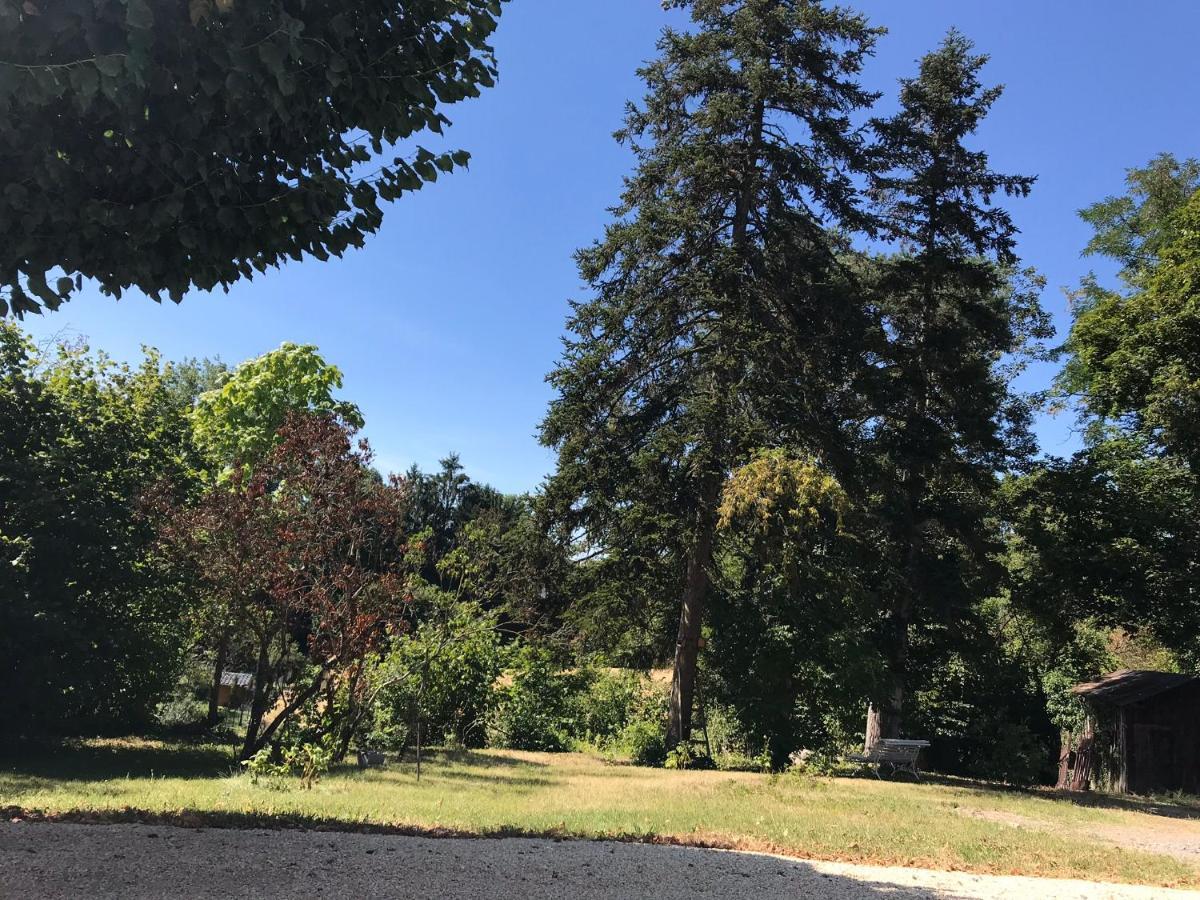 Charmant F1 Avec Terrasse Et Vue Sur Jardin Arbore - Fraicheur Naturelle Du Rez De Jardin - Parking Бельрив-сюр-Алье Экстерьер фото